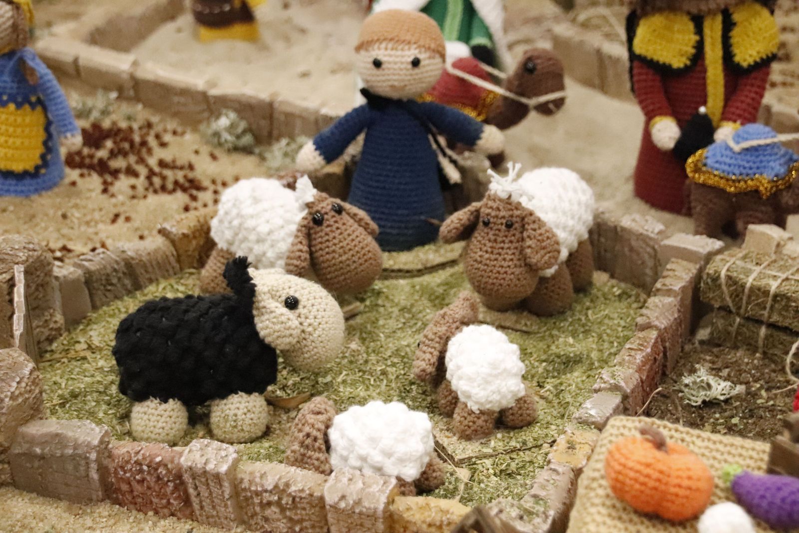 20221202202807-mg-5044