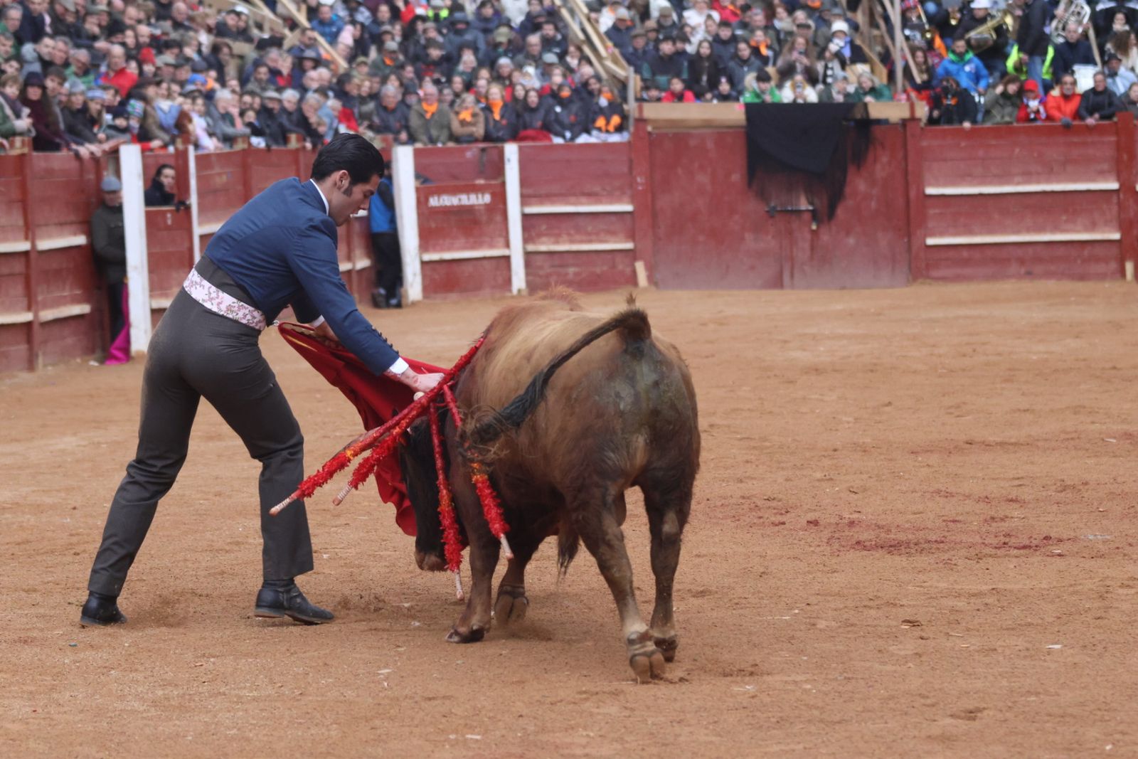 Novillada sin picadores del bolsín taurino y rejones en Ciudad Rodrigo