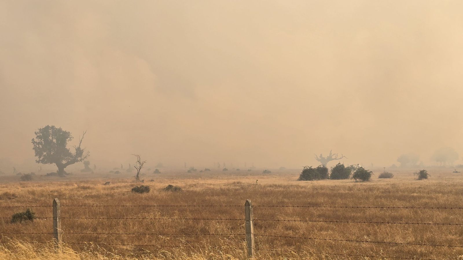El incendio de Cipérez (IGR2) llega hasta Cerezal de Puertas