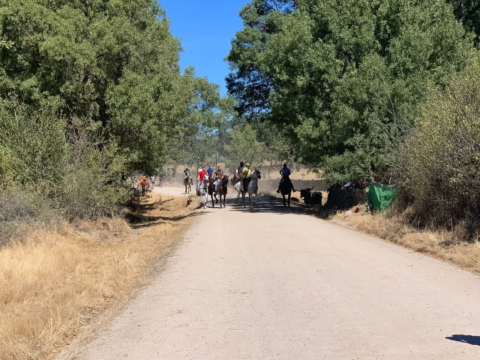 whatsapp-image-2022-08-21-at-12-56-04-pm