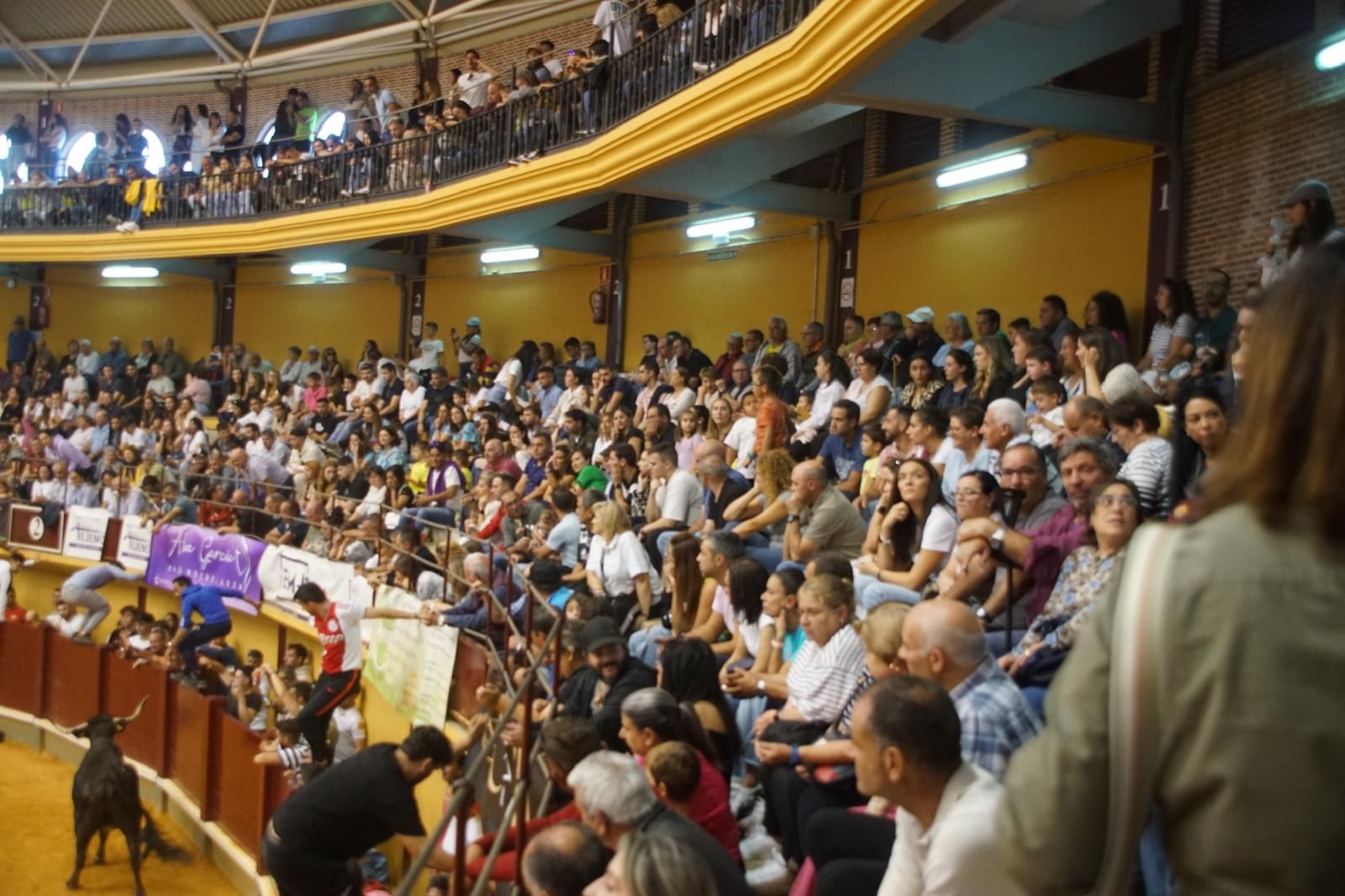 Toro del cajón y capea en Alba de Tormes