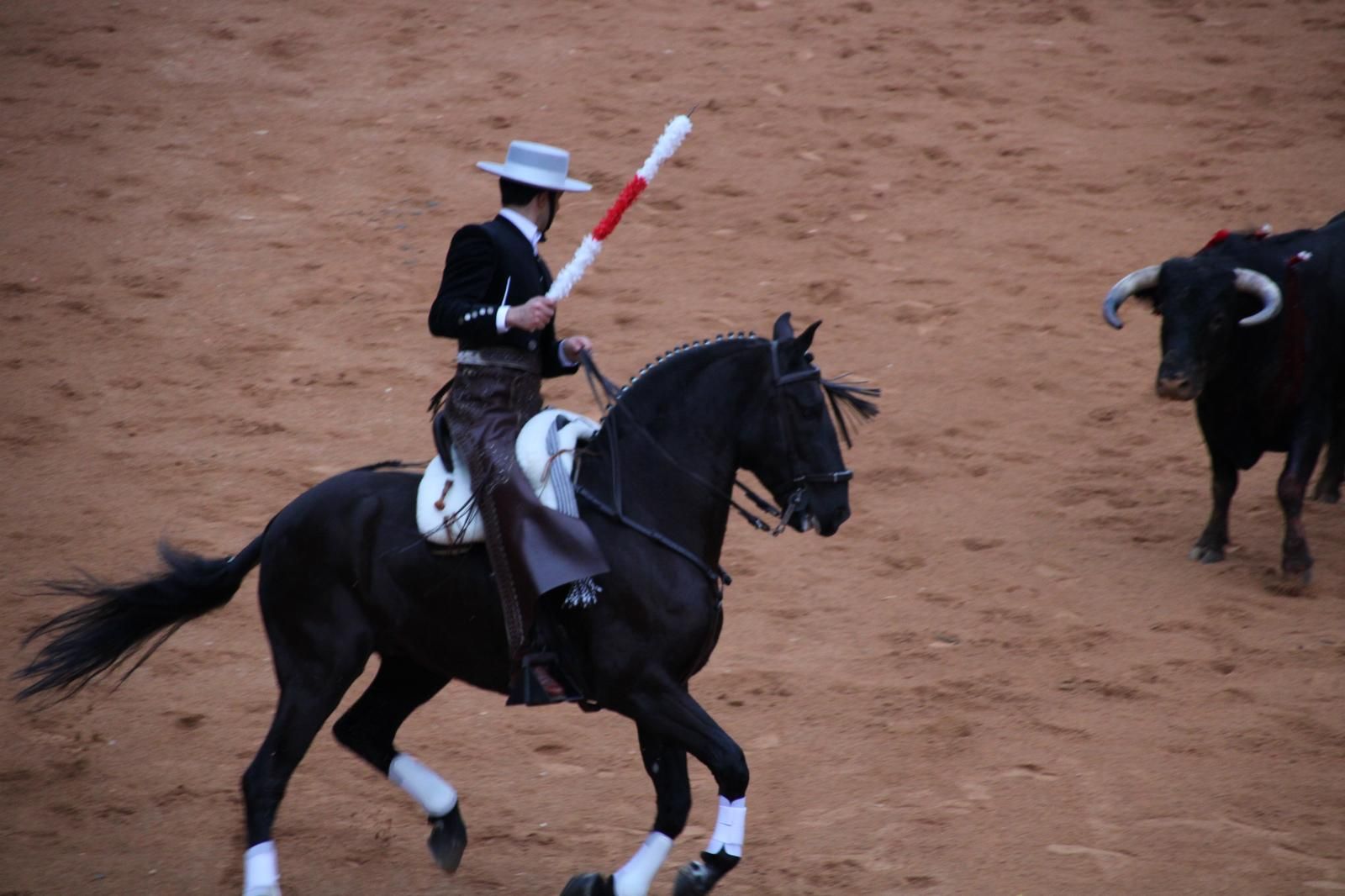 whatsapp-image-2025-03-02-at-18-55-59