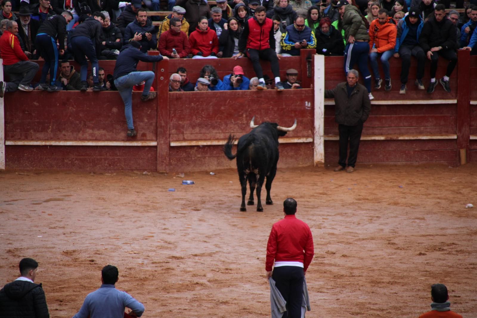 toro-del-aguardiente-en-ciudad-rodrigo-carnaval-24-25