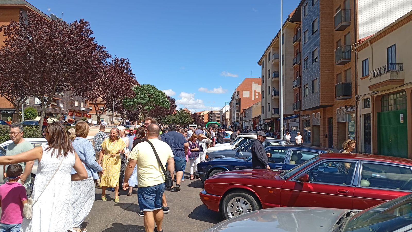 Concentración Vehículos Clásicos Benavente (1).jpeg