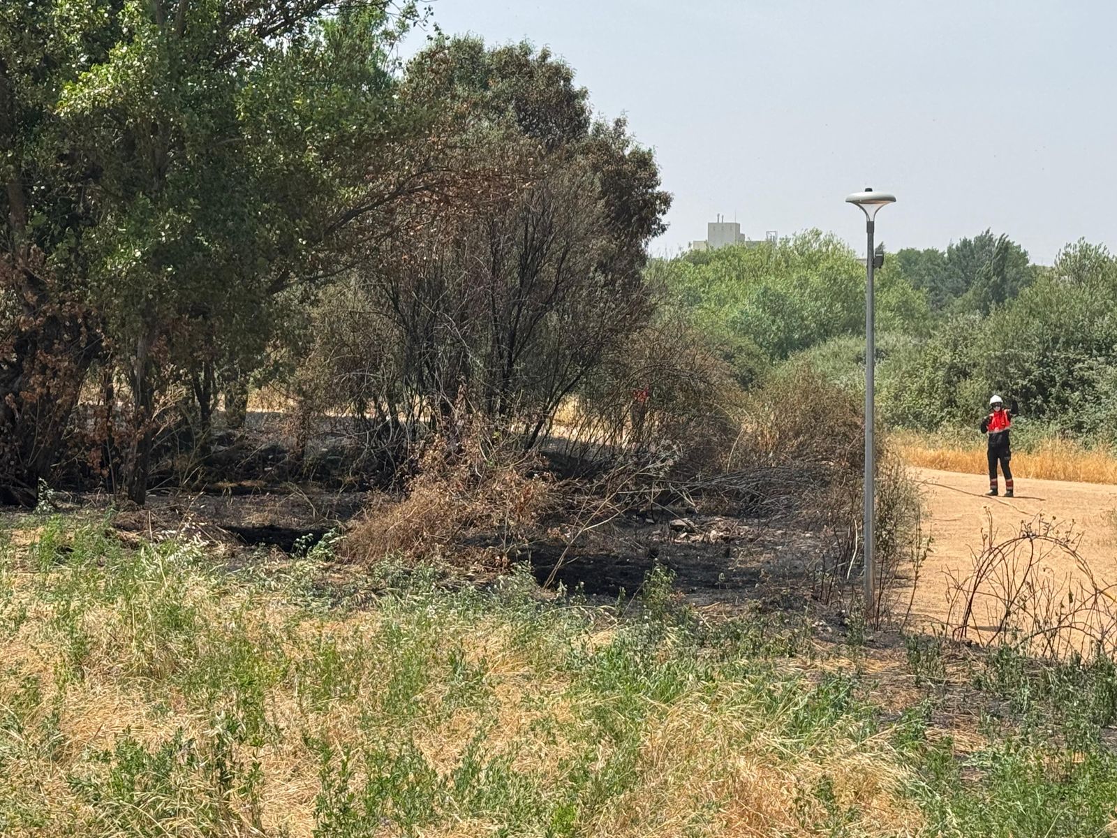 whatsapp-image-2025-06-21-at-14-48-11-2