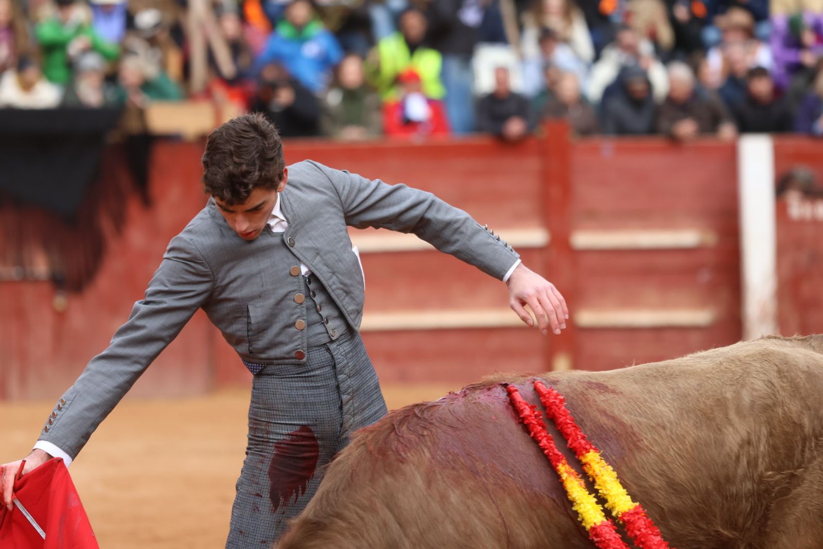 Novillada sin picadores del bolsín taurino y rejones en Ciudad Rodrigo