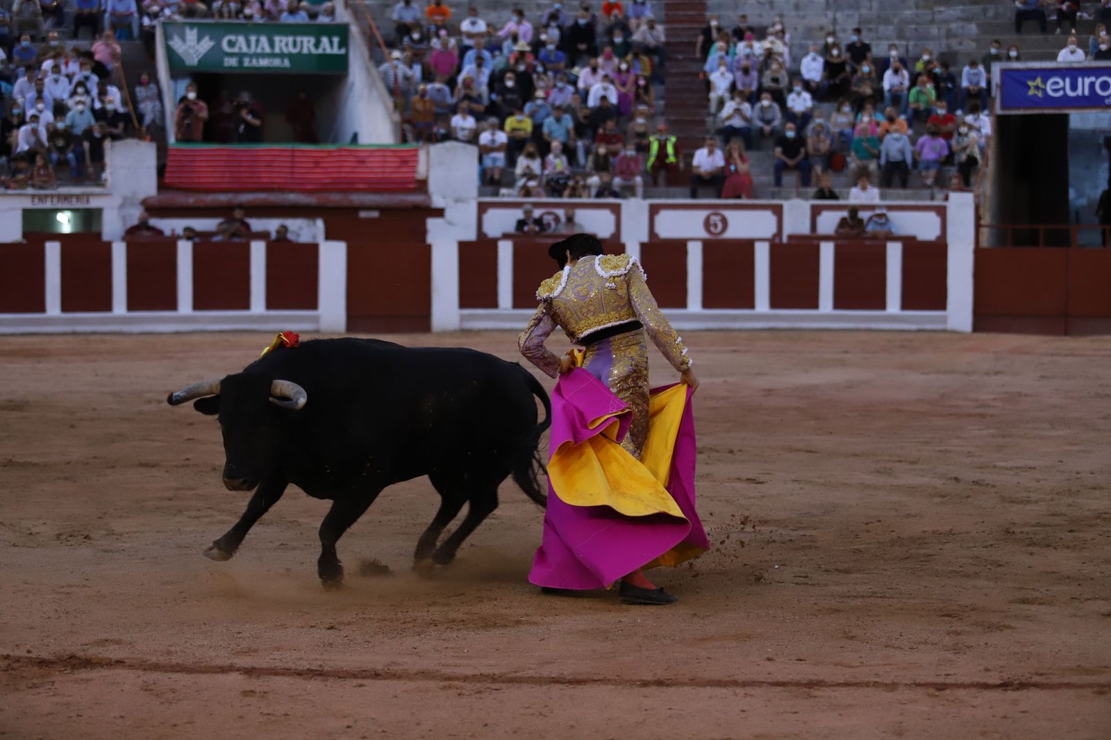 roca-rey-pablo-aguado-y-daniel-luque-en-zamora-39
