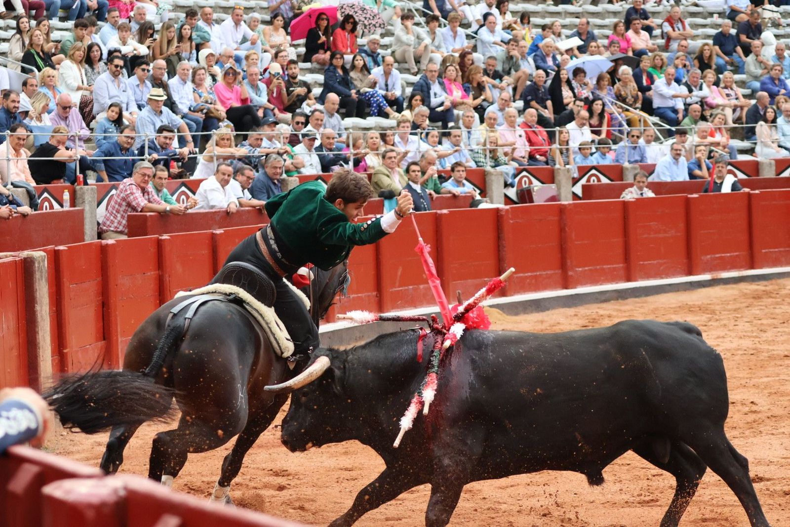 20230909190813-img-0806