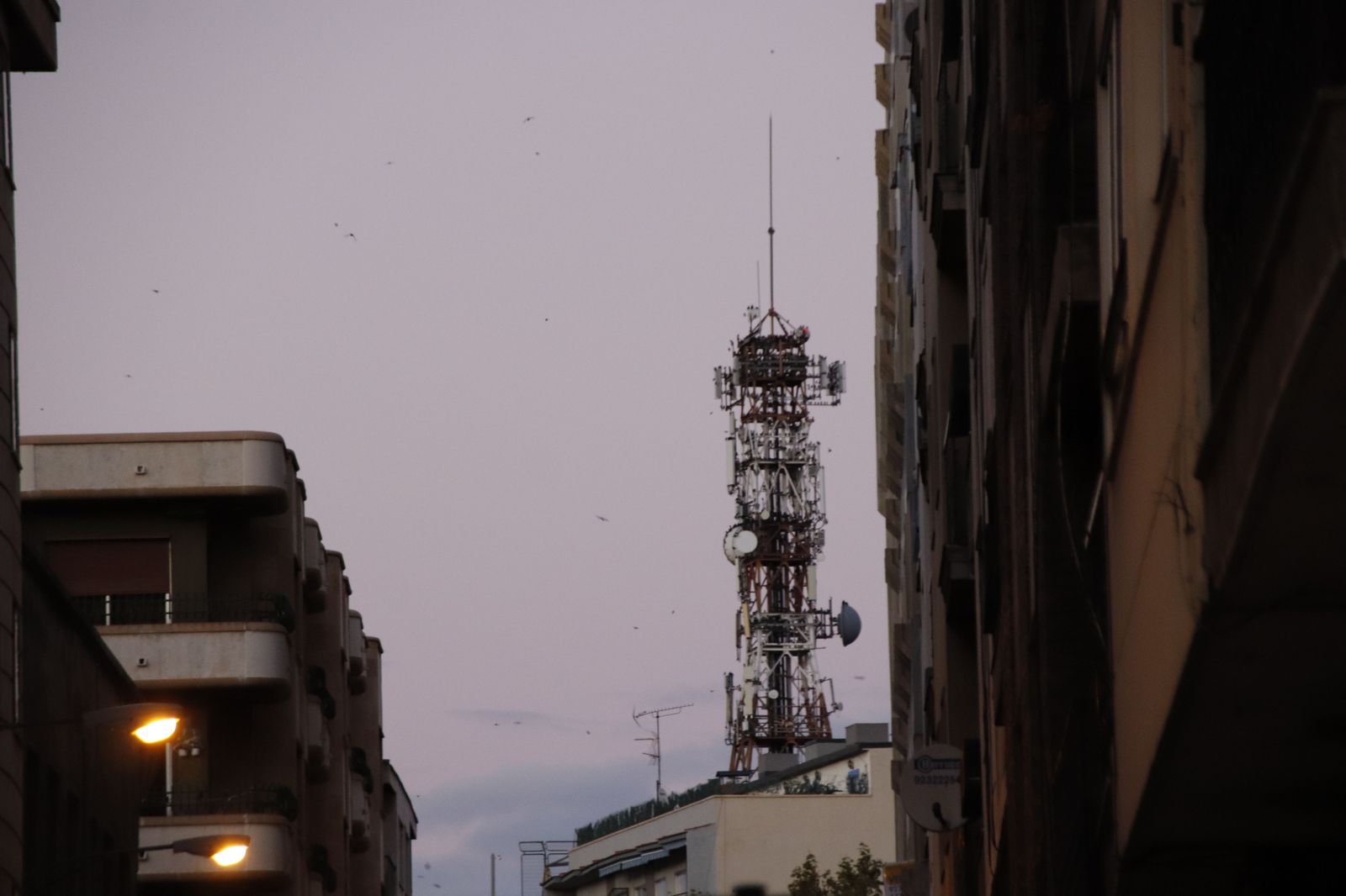 Antena de telefonía