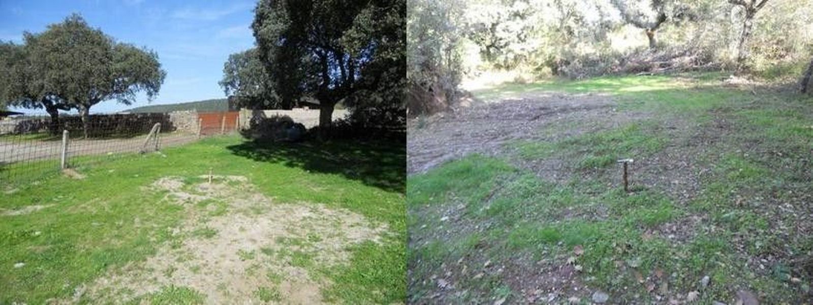 Berkeley asegura que realiza sus sondeos siguiendo escrupulosamente los procedimientos establecidos"