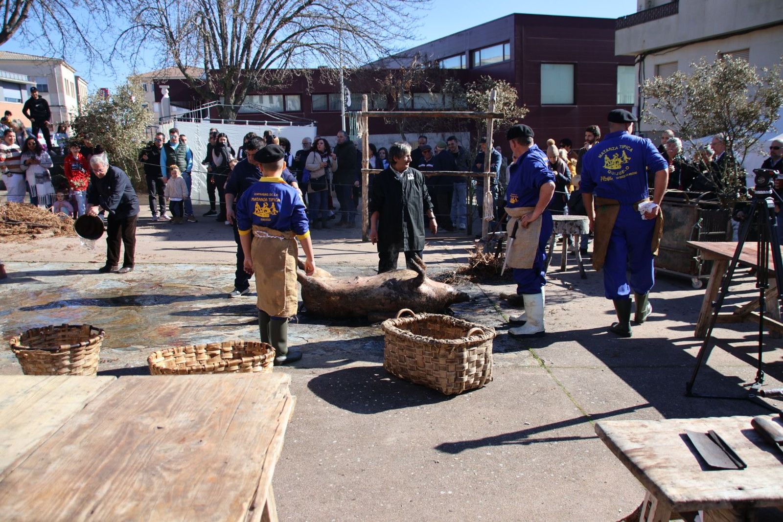 20240203132805-img-4491