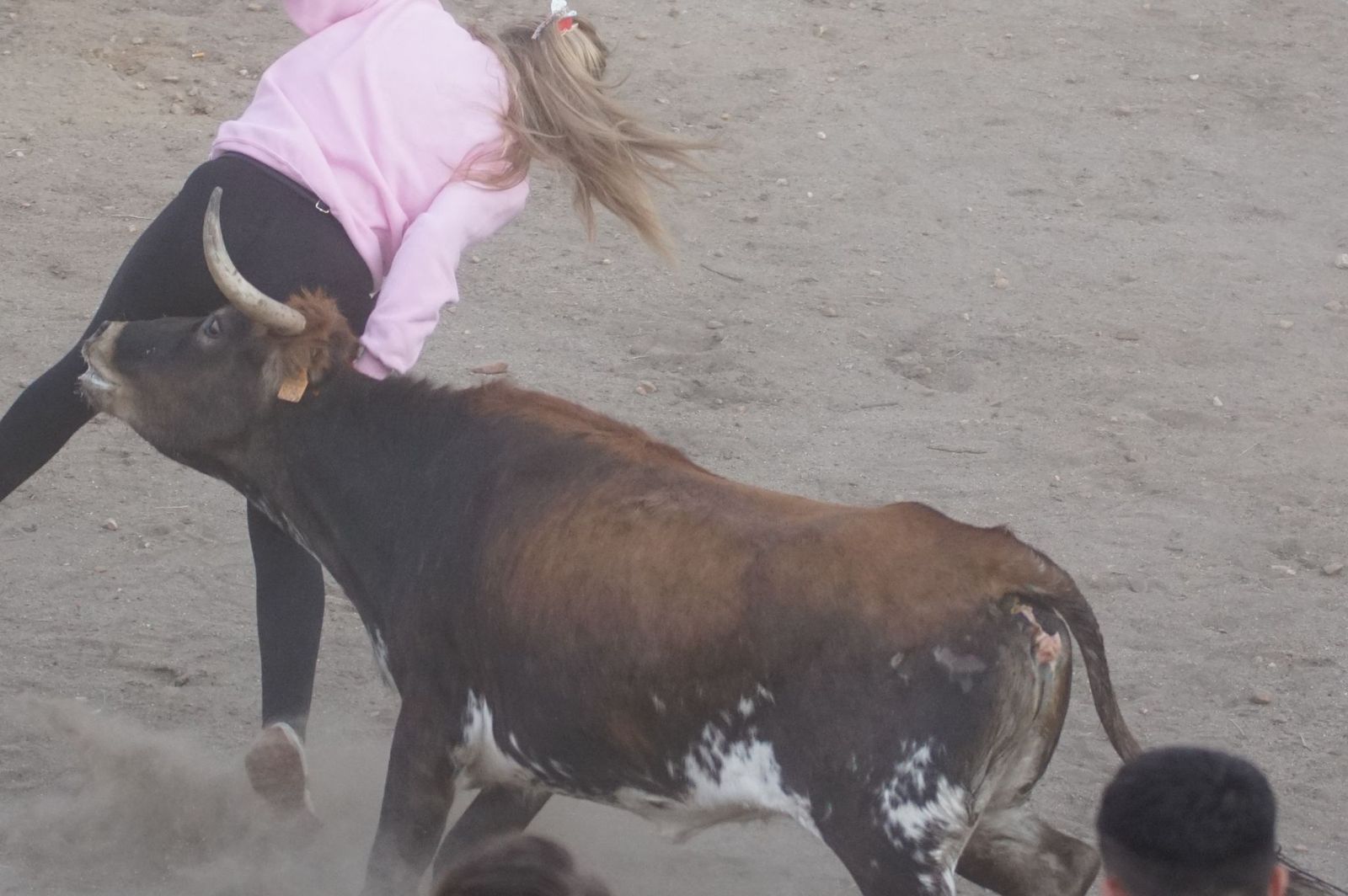 Carreras, risas y tradición: así se ha vivido El Toro en Santa Marta