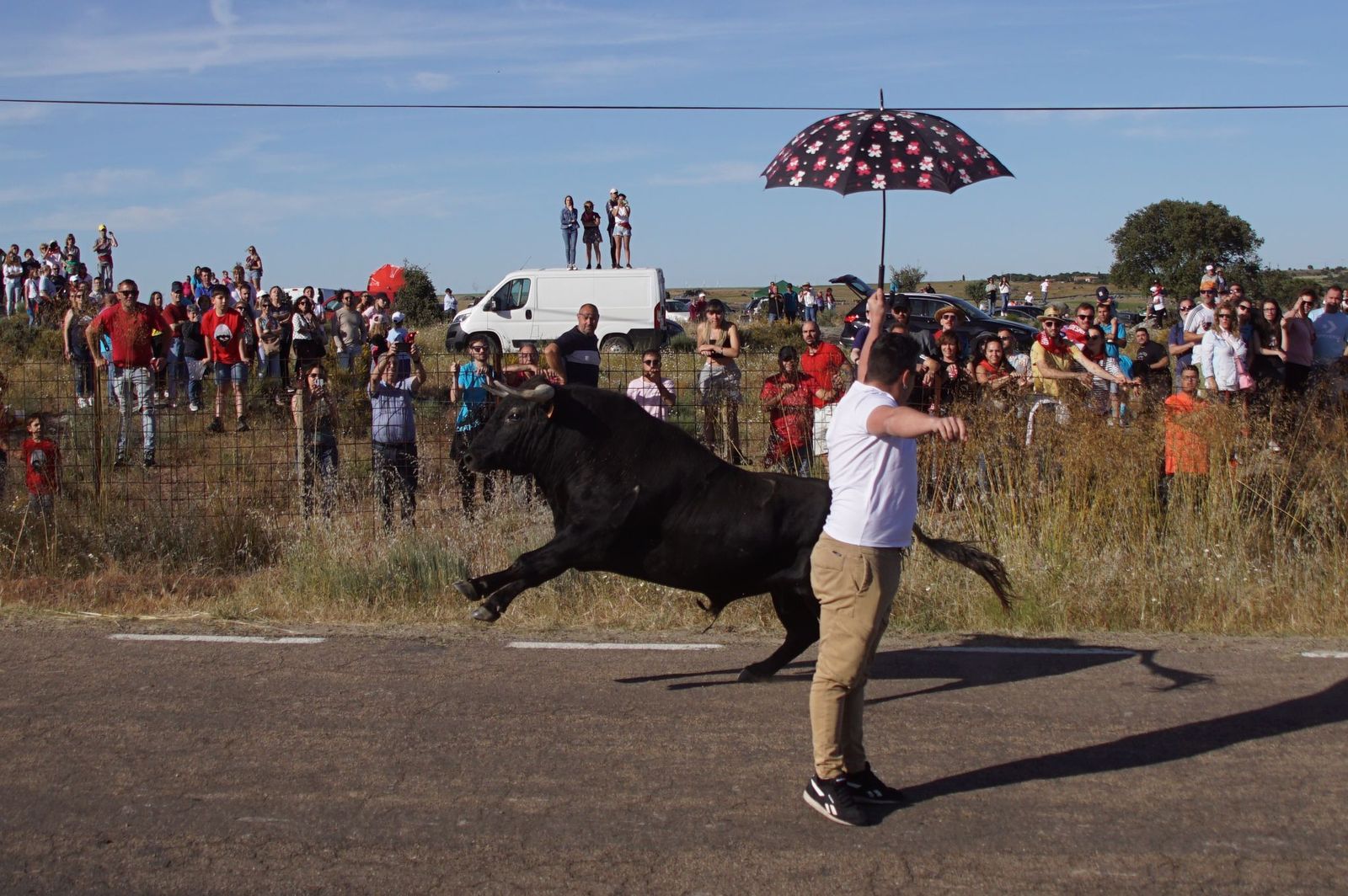 ledesma-calienta-motores-para-los-espantos-con-el-reparto-de-panuelos-y-la-salida-de-los-toros-del-prao-de-la-villa-5