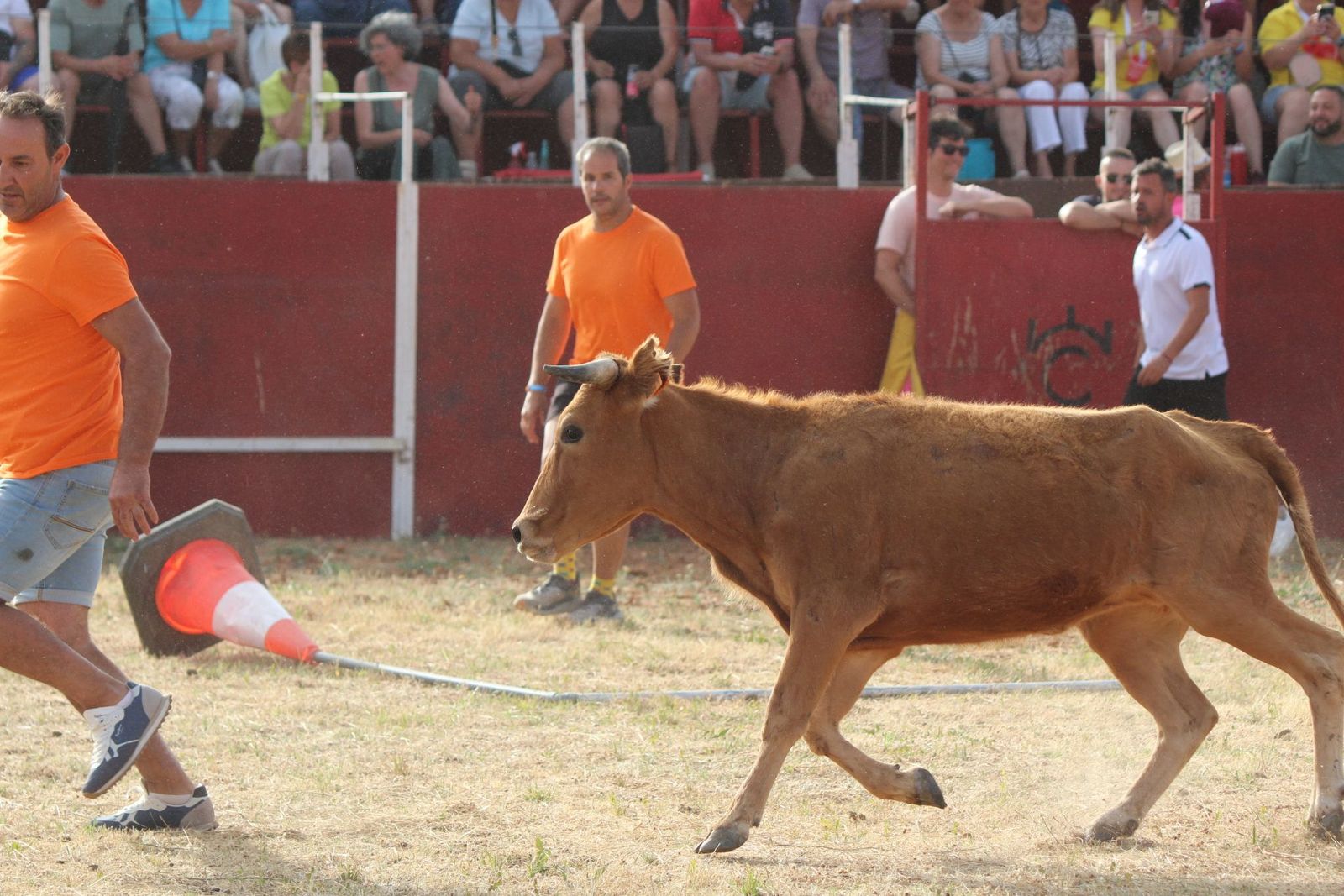 img-2211