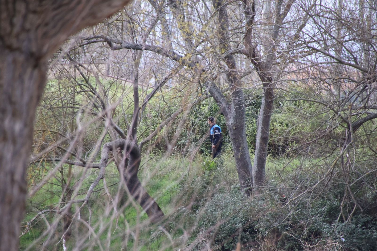 20240307110150-img-9200