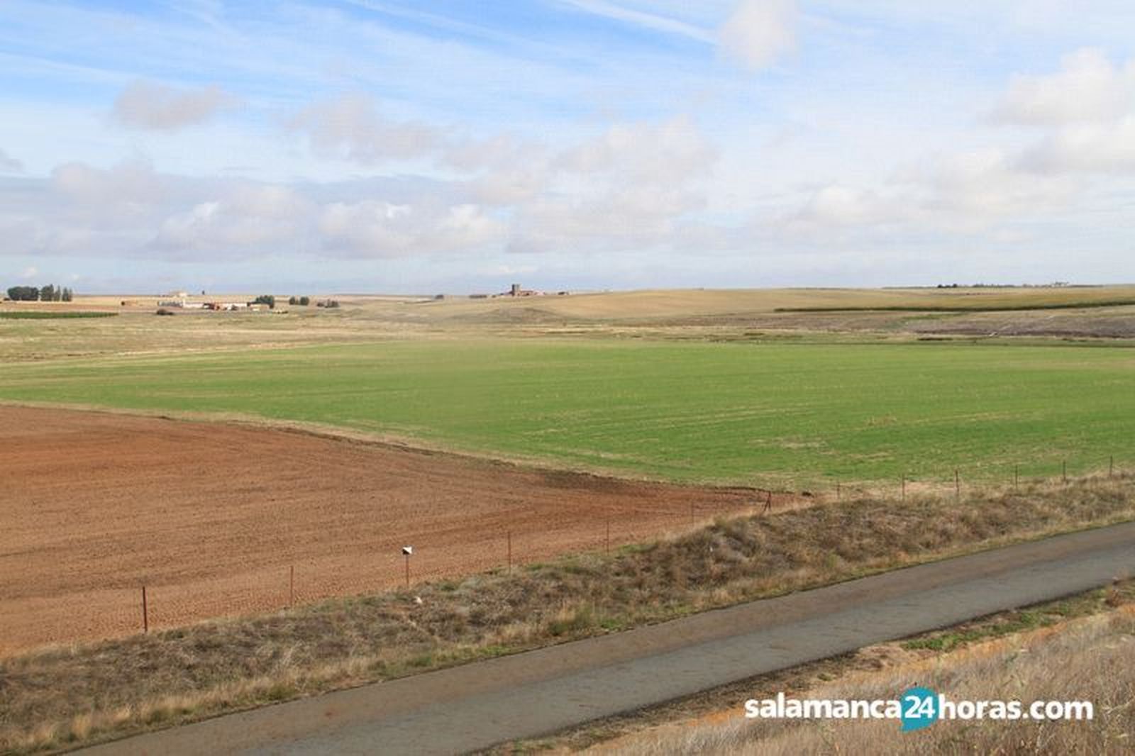 Campo septiembre (4)
