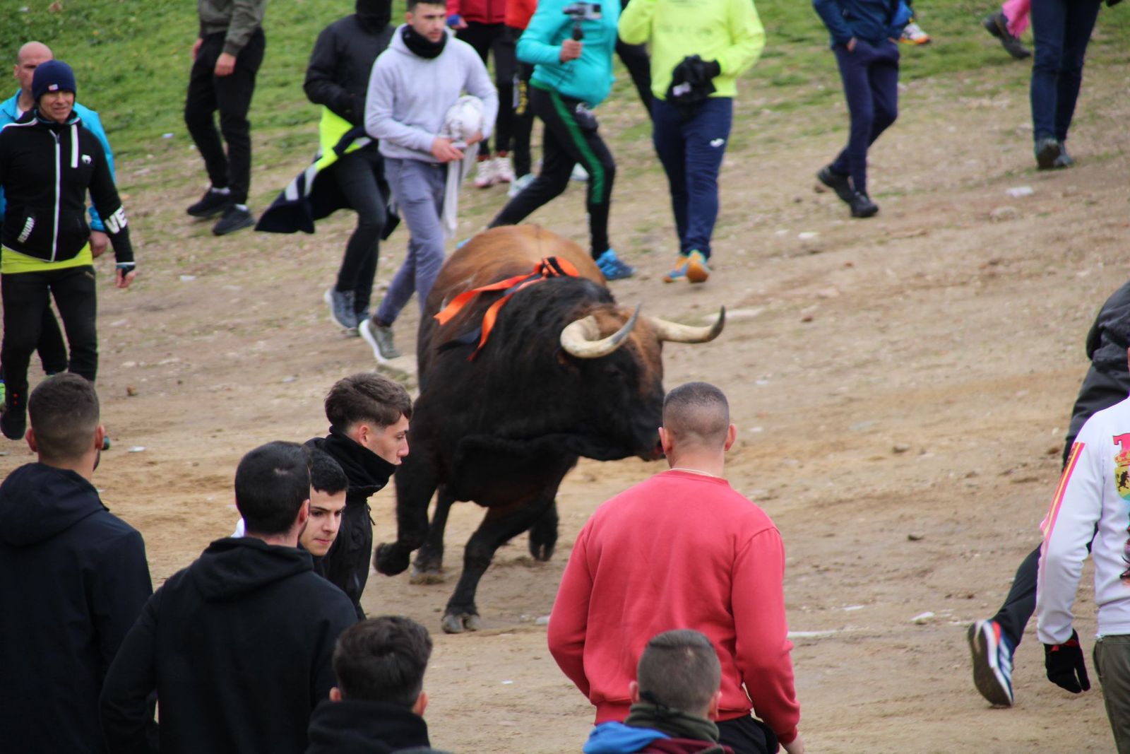 whatsapp-image-2025-03-01-at-11-56-27