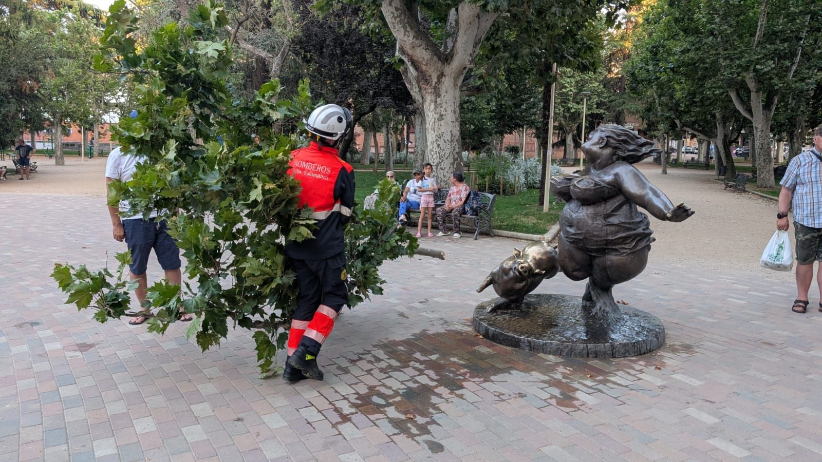 Los bomberos retiran una rama de La Alamedilla