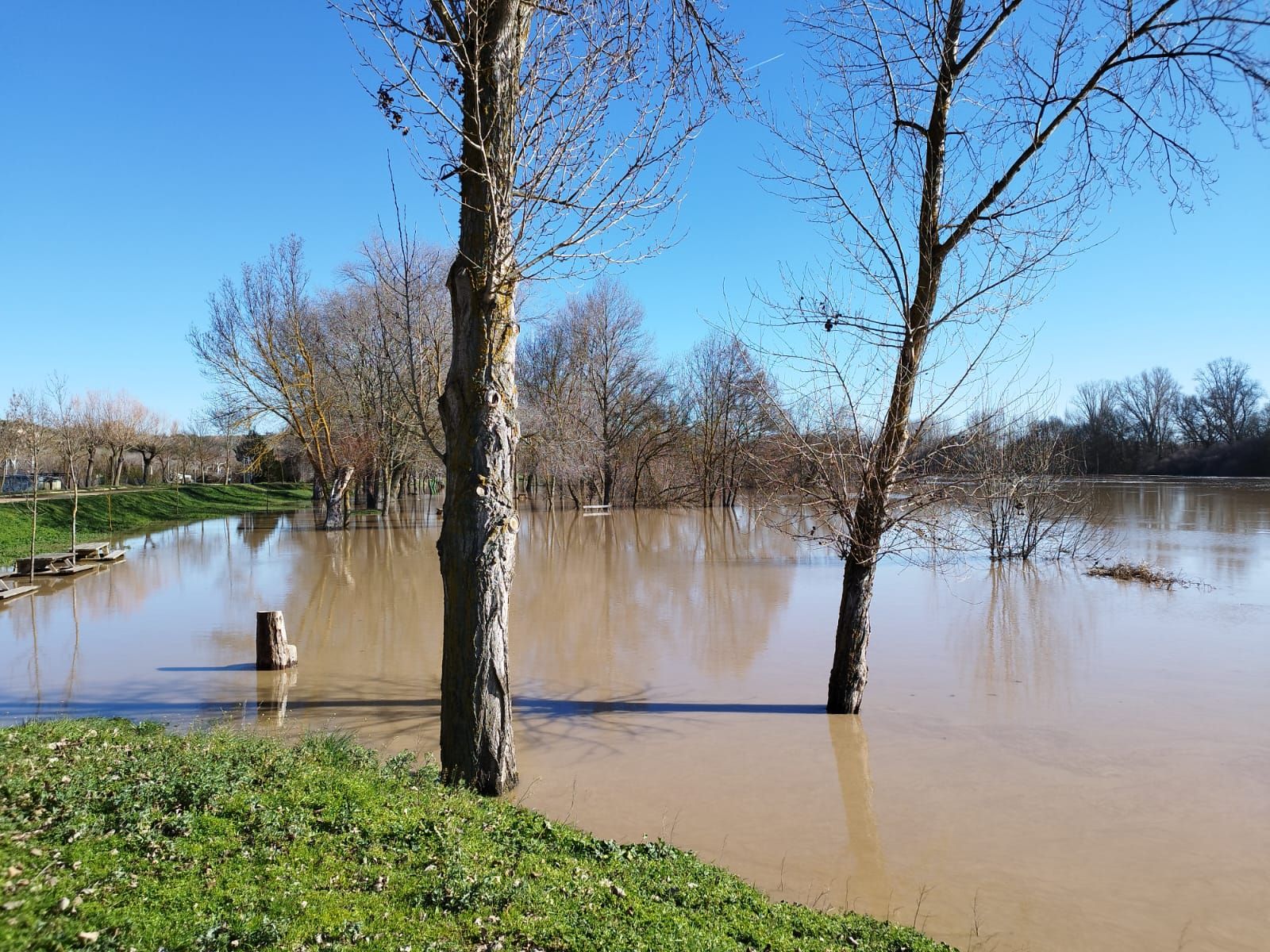 whatsapp-image-2024-01-20-at-13-18-46