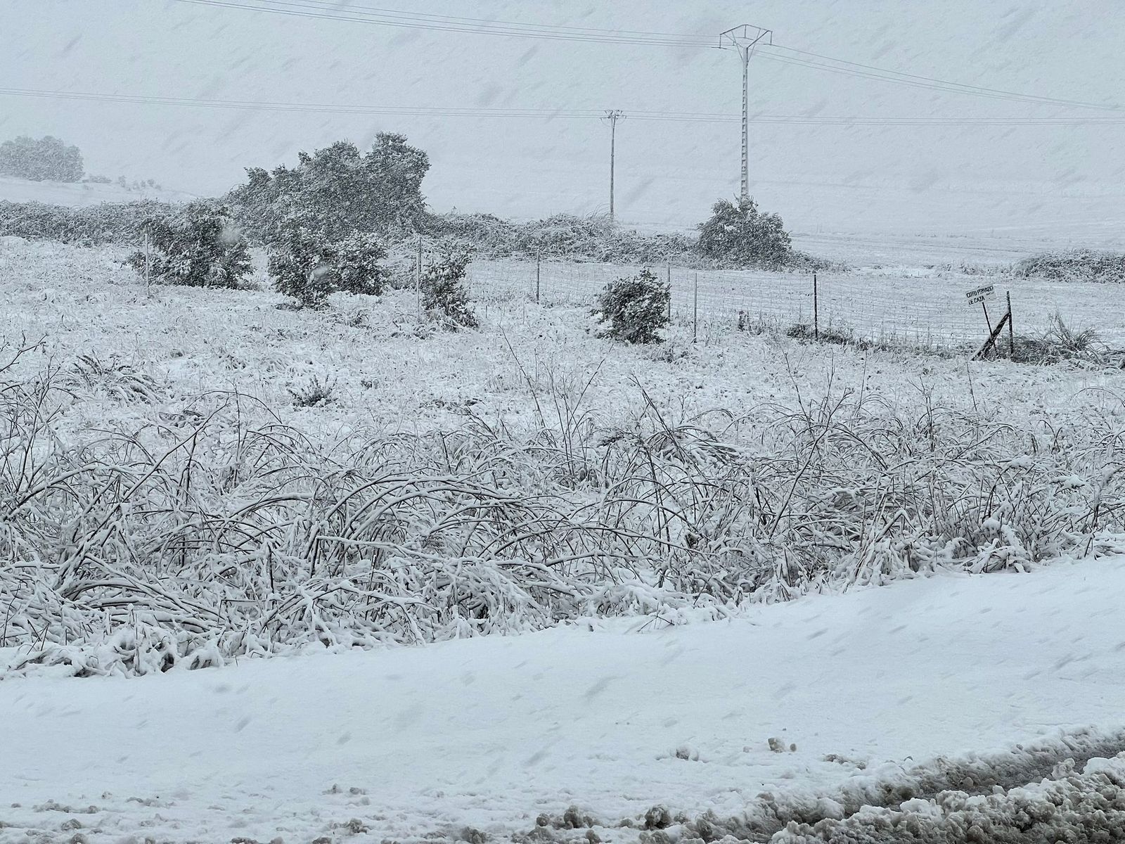 Nevada en Salamanca 28 de enero 2026