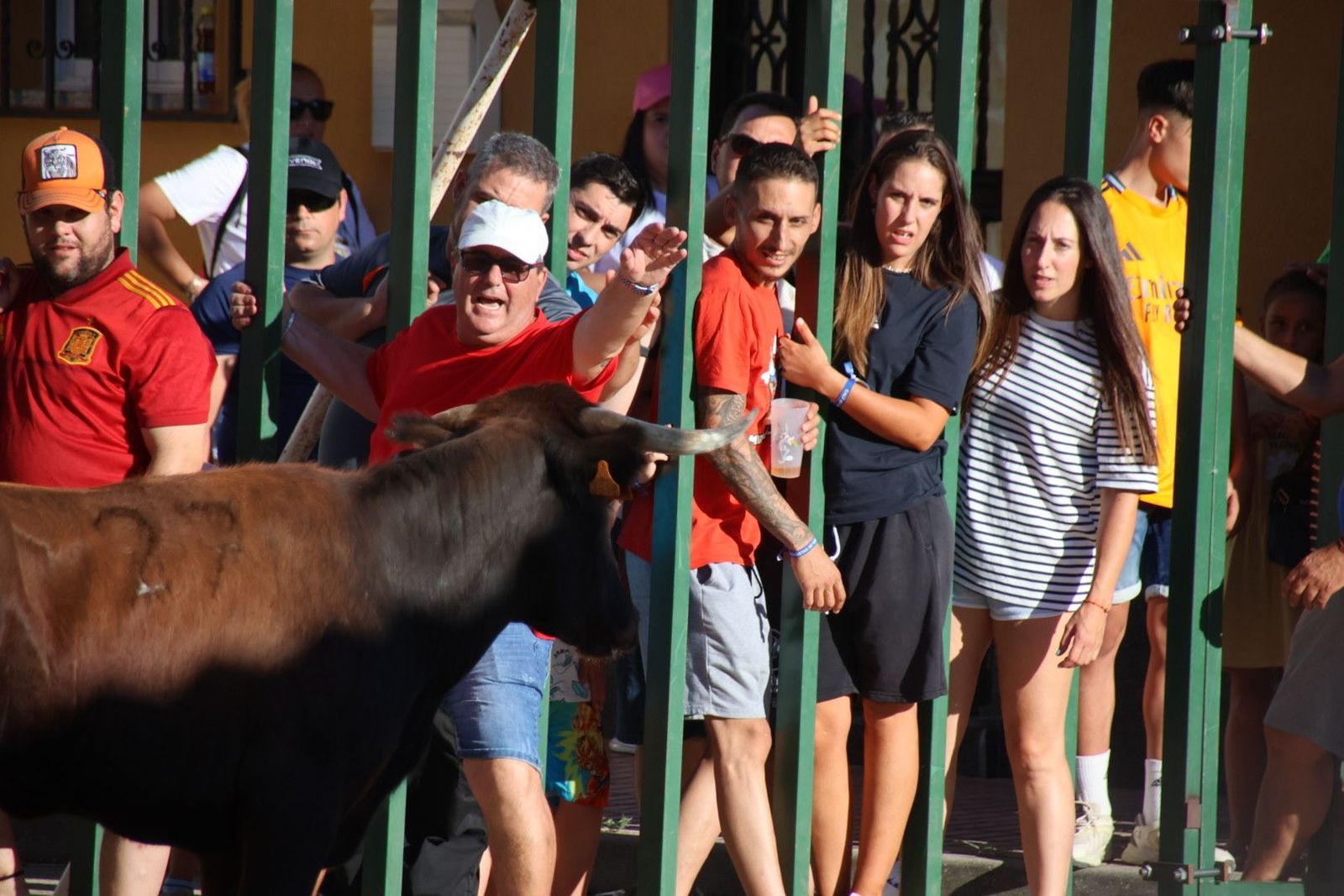 20240817184108-img-4470