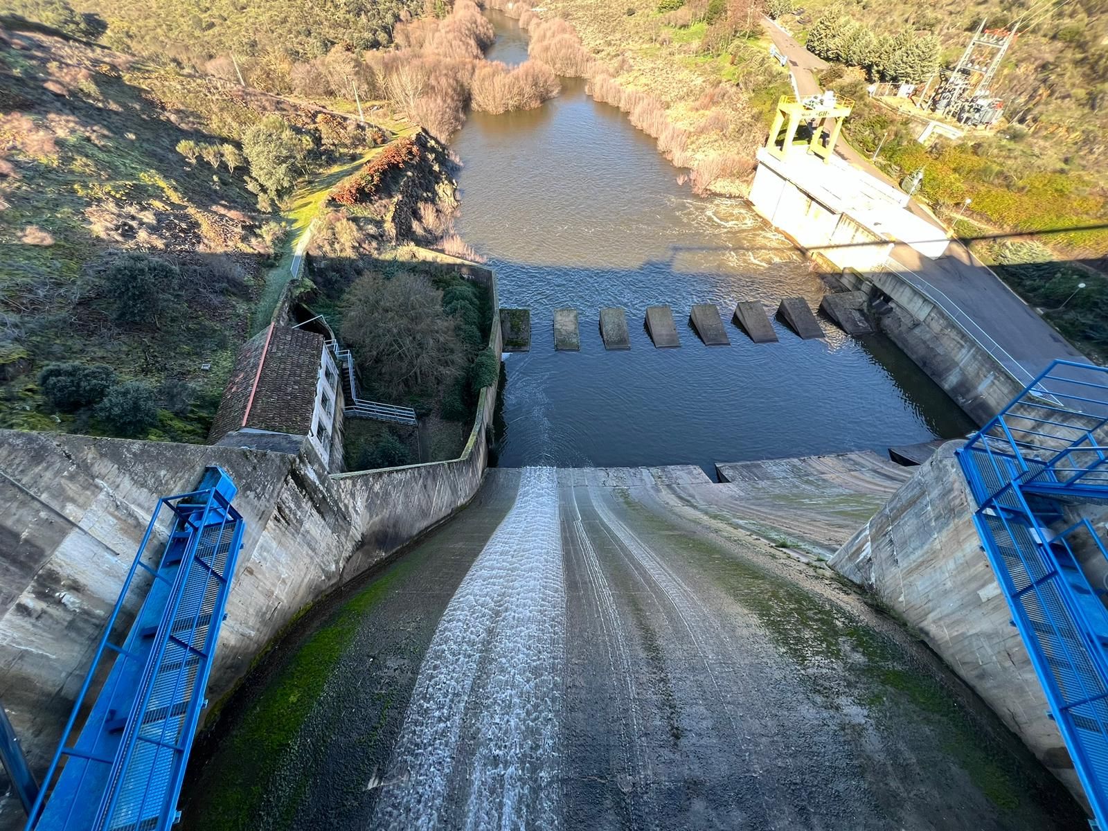 whatsapp-image-2024-01-20-at-13-54-55