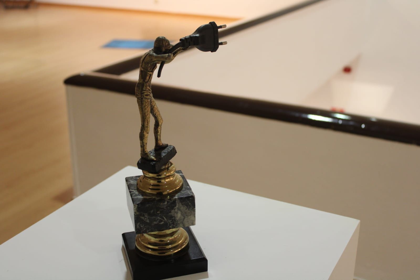 inauguracion-de-la-exposicion-la-llamada-encendida-de-jean-claude-cubino-35