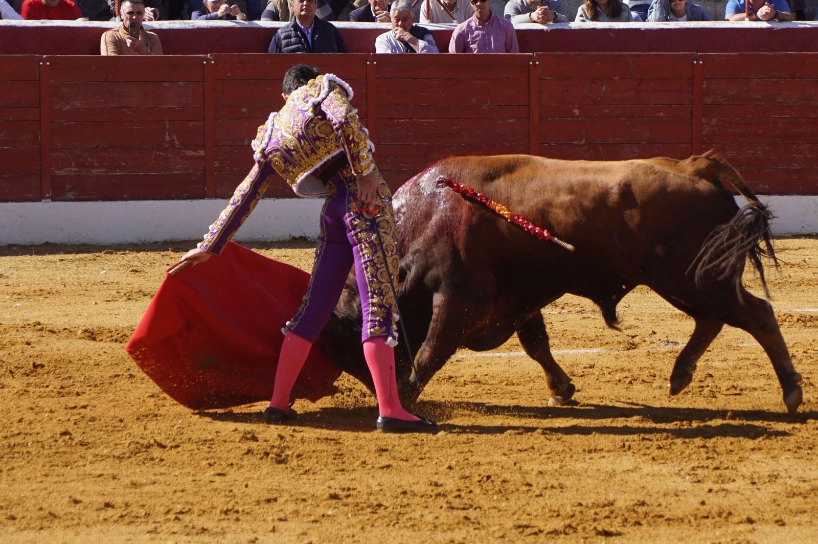 novillada-con-picadores-en-villoria-26