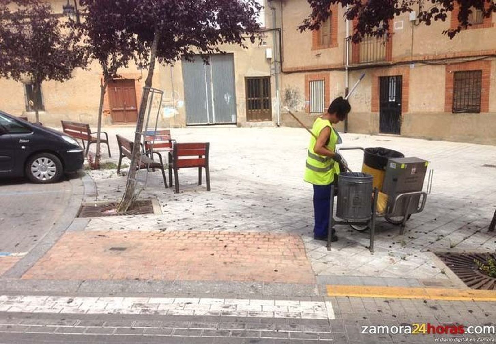 Podan los prunus cerasifera en varias zonas de Benavente para evitar las molestias que provoca la caída del fruto