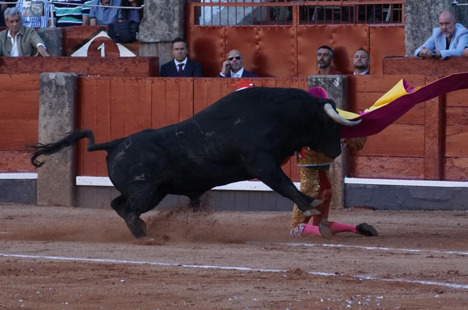 Emilio de Justo, Juan Ortega y Roca Rey inauguran el cartel de figuras en la feria de Salamanca: la corrida de Garcigrande en imágenes