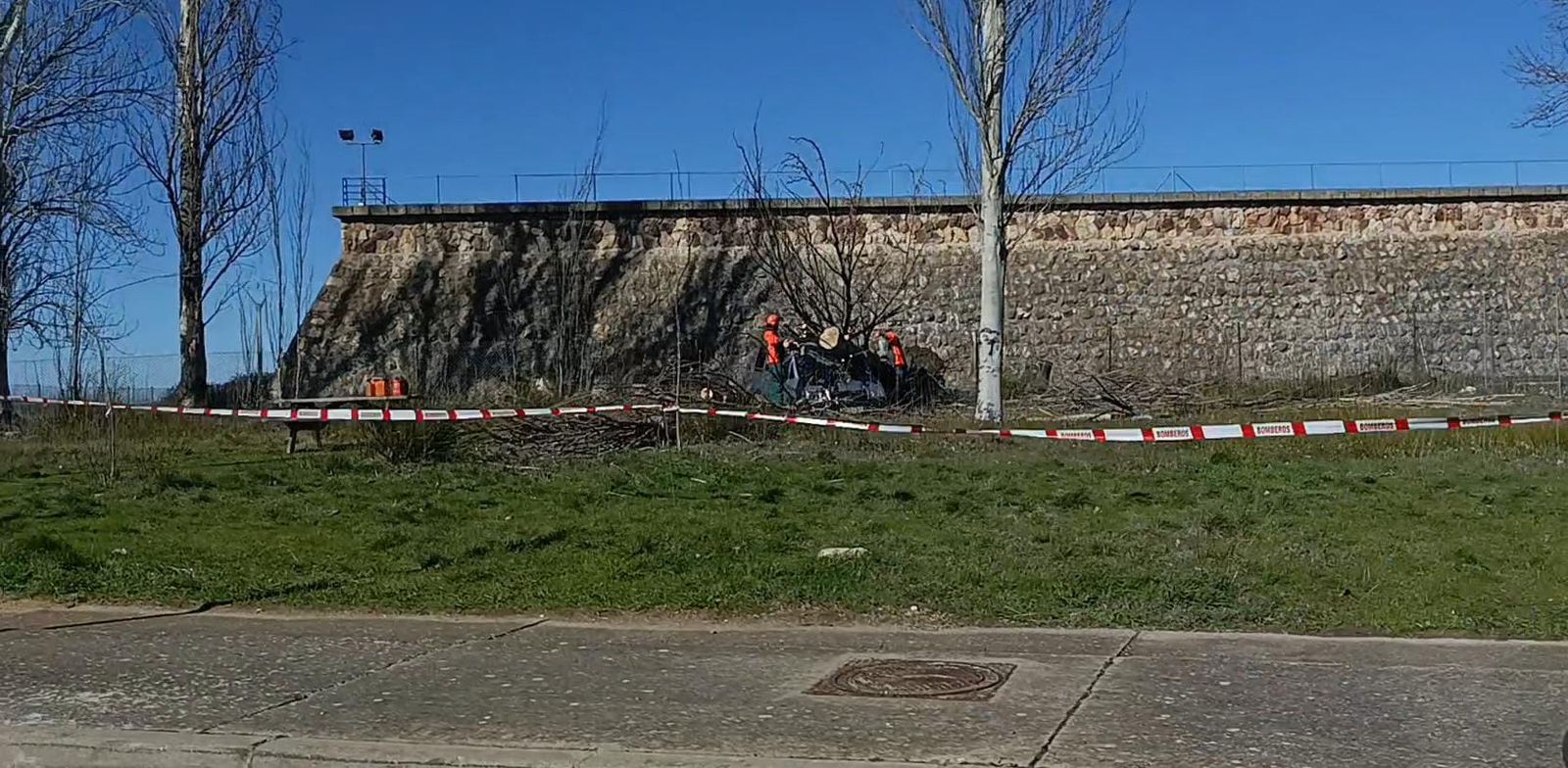 Rama caída en la calle Alto de la Albillera