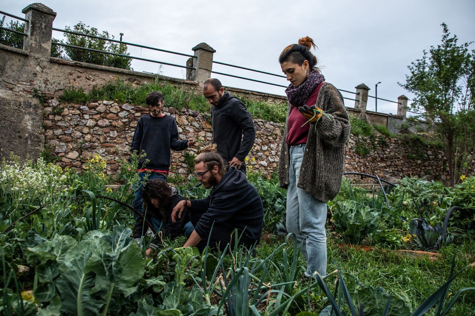 Los chicos de Molinolab