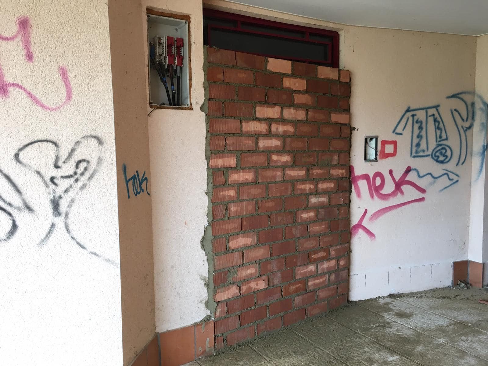 126051524 2605623259727803 3788707719557238155 o