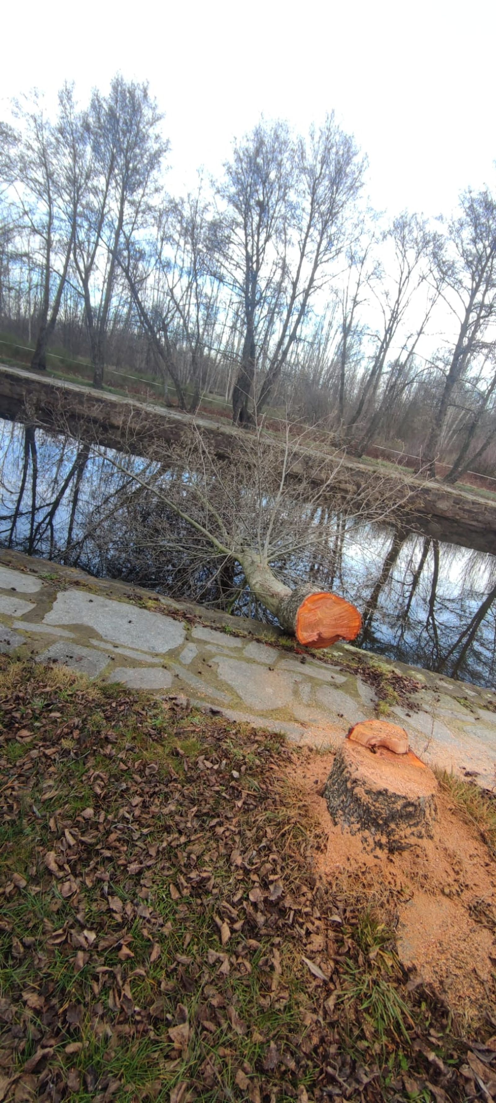 whatsapp-image-2024-01-04-at-13-16-45-2