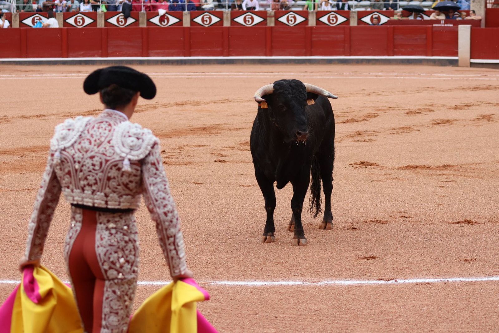 20230915170913-img-3825