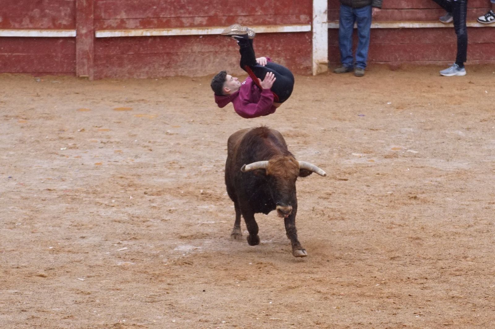 whatsapp-image-2024-02-11-at-14-02-04