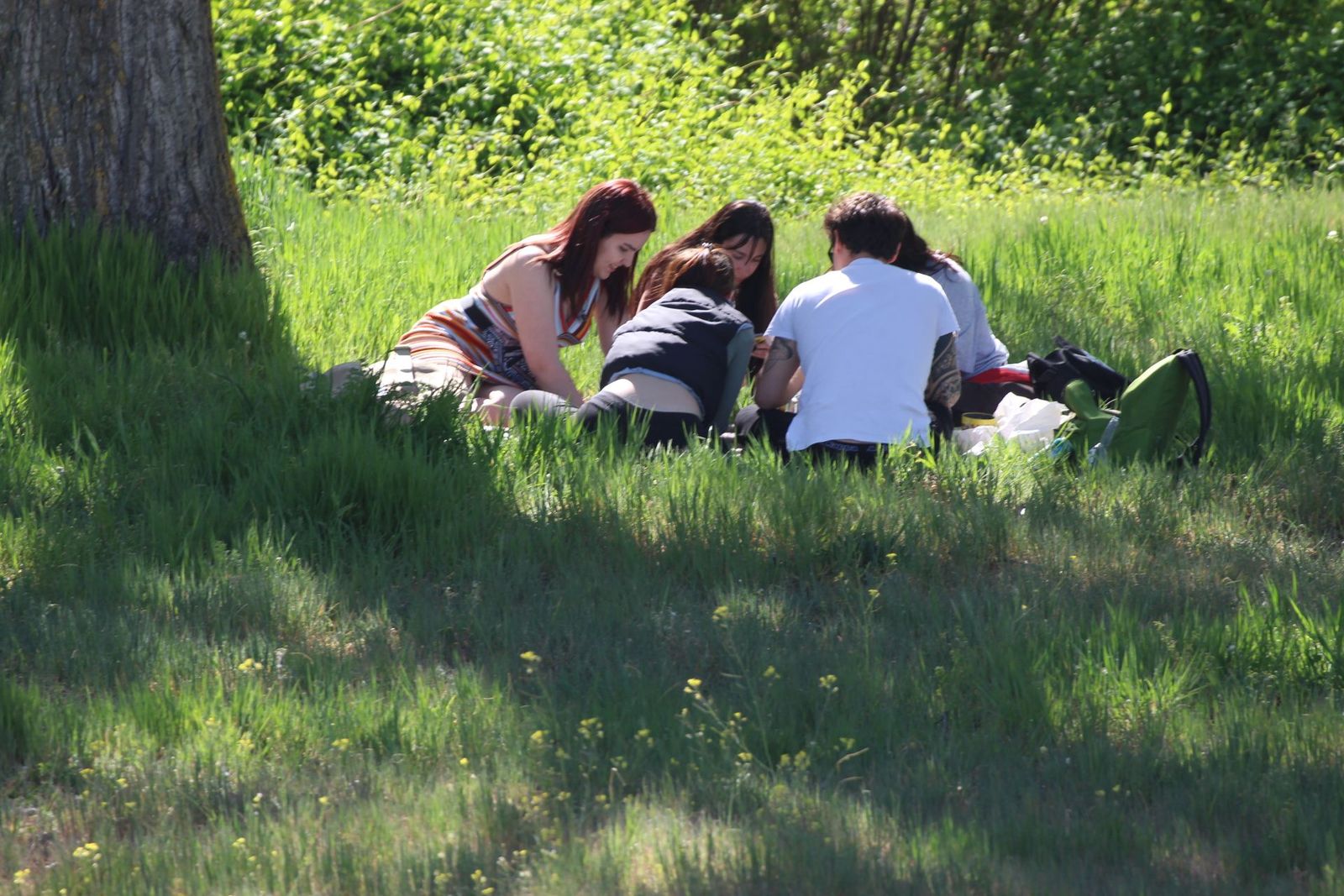 20230417175649-img-4499