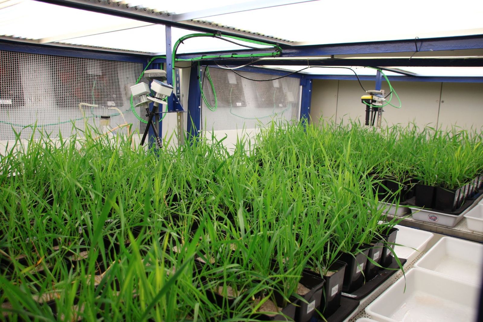 20240308103616-img-9419