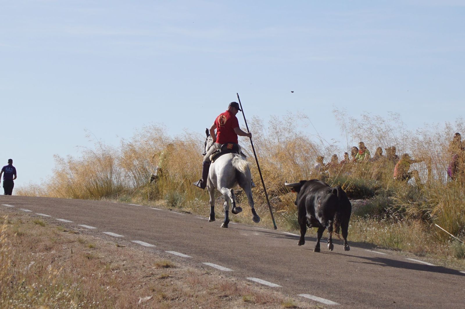 ledesma-calienta-motores-para-los-espantos-con-el-reparto-de-panuelos-y-la-salida-de-los-toros-del-prao-de-la-villa-3