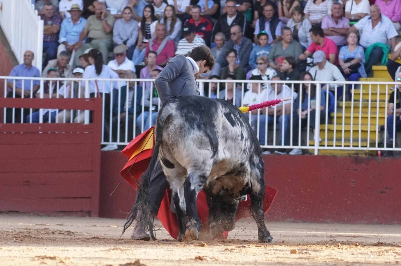 whatsapp-image-2024-09-07-at-20-48-36-6