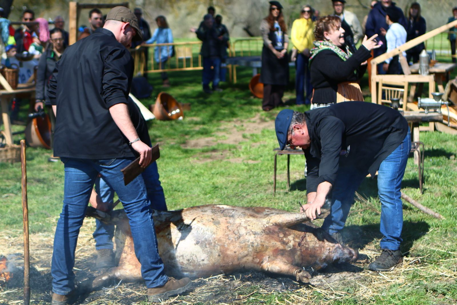 Matanza Tradicional de Santa Marta