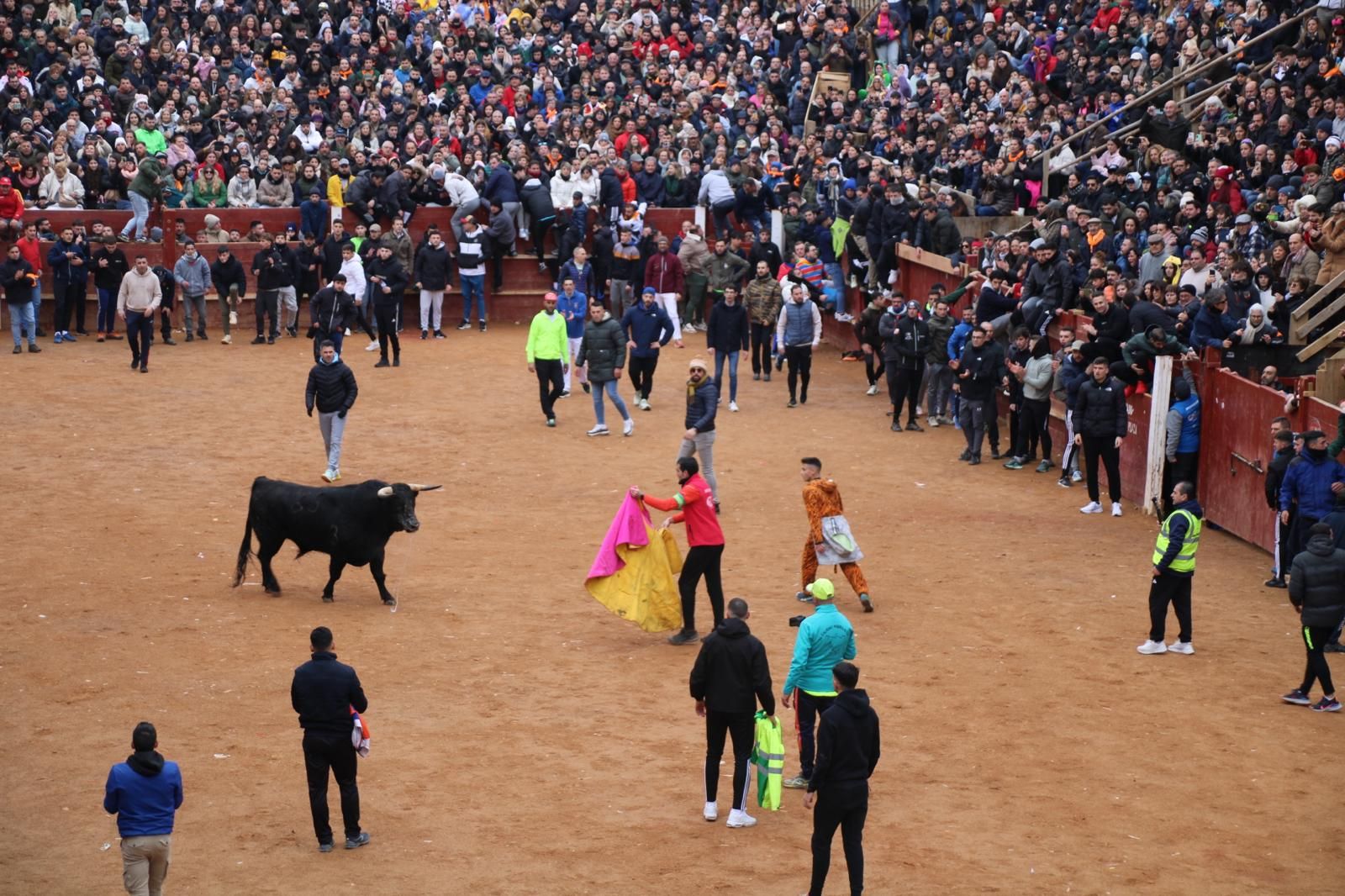 Encierro a Caballo en el Carnaval del Toro 2026 de Ciudad Rodrigo