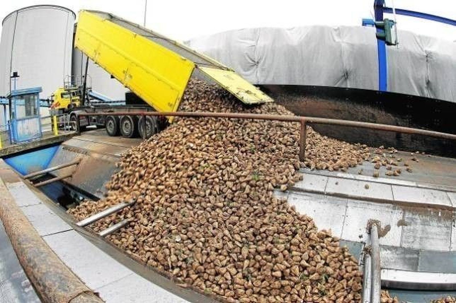 UPA y COAG amenazan con una demanda judicial por el precio de remolacha