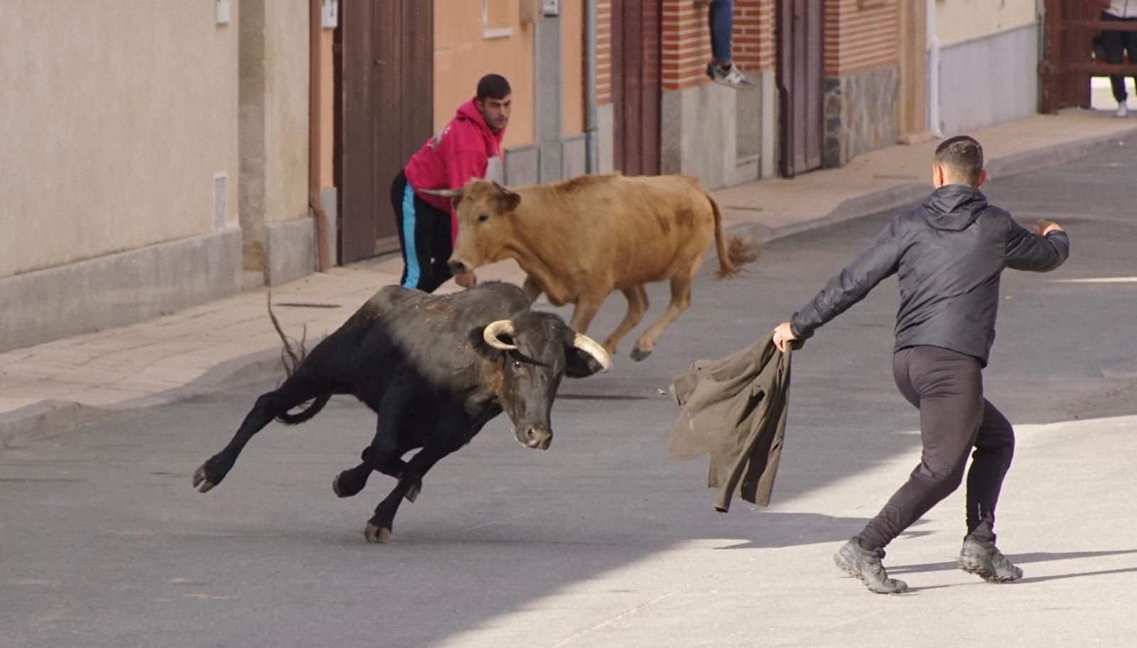 whatsapp-image-2024-09-08-at-14-04-56-4