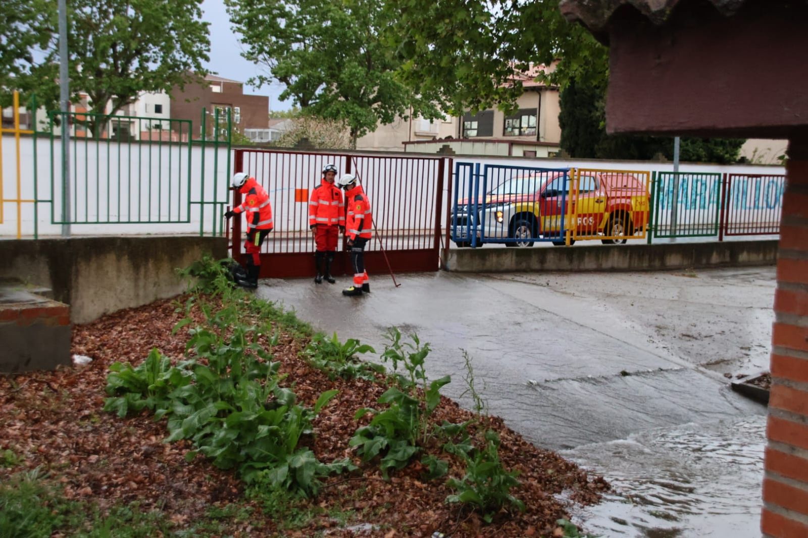 whatsapp-image-2024-05-01-at-20-37-33