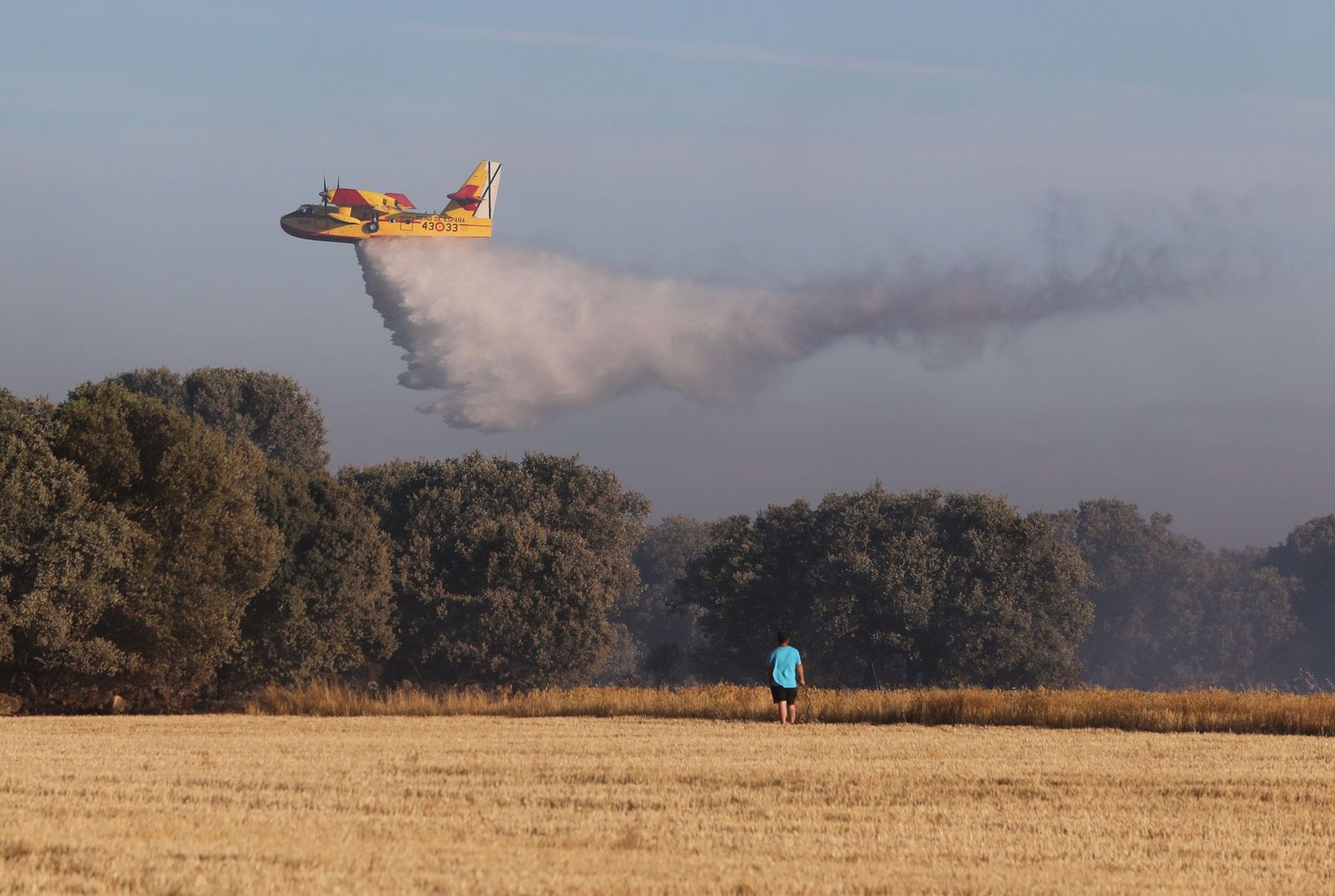 El incendio de Paredes de Monte (Palencia) alcanza el monte El Viejo ayudado por las fuertes rachas de viento Una veintena de medios aéreos y terrestres tratan de combatir las llamas que han dejado una densa humareda, visible desde la capital