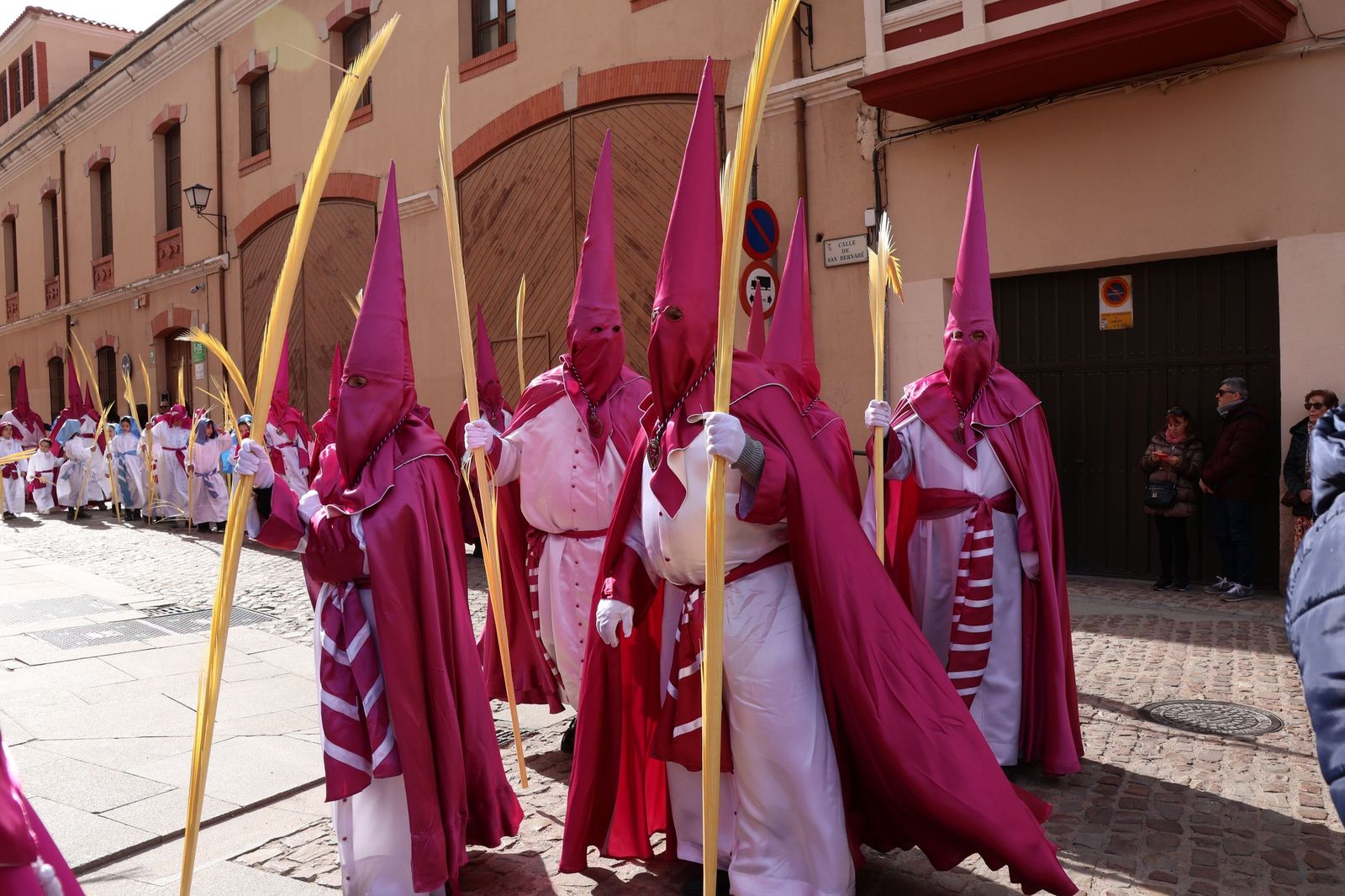 GALERÍA | Revive en imágenes la procesión de La Borriquita