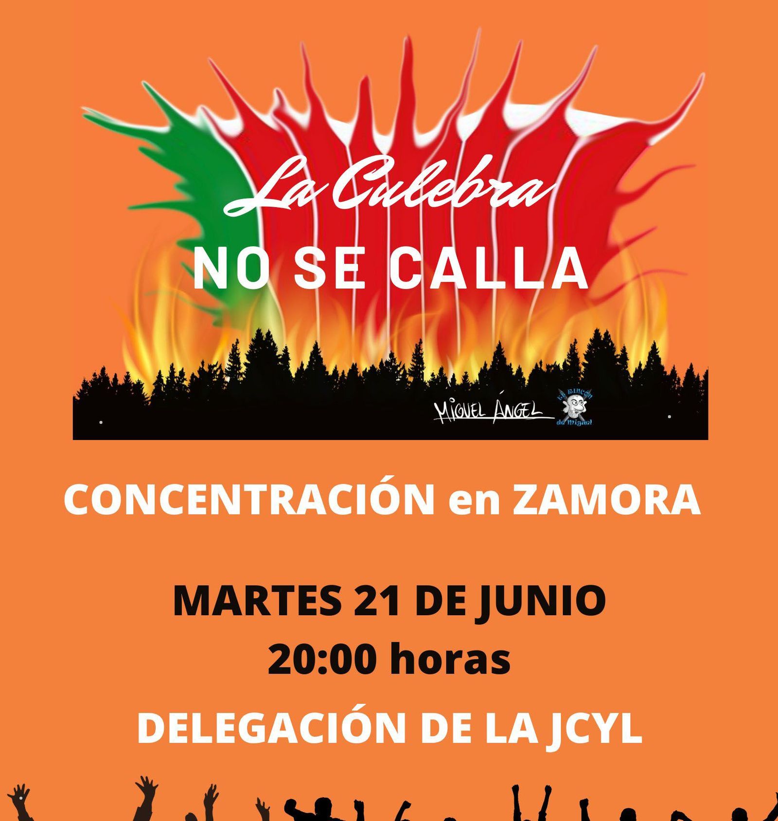 Cartel de la concentración