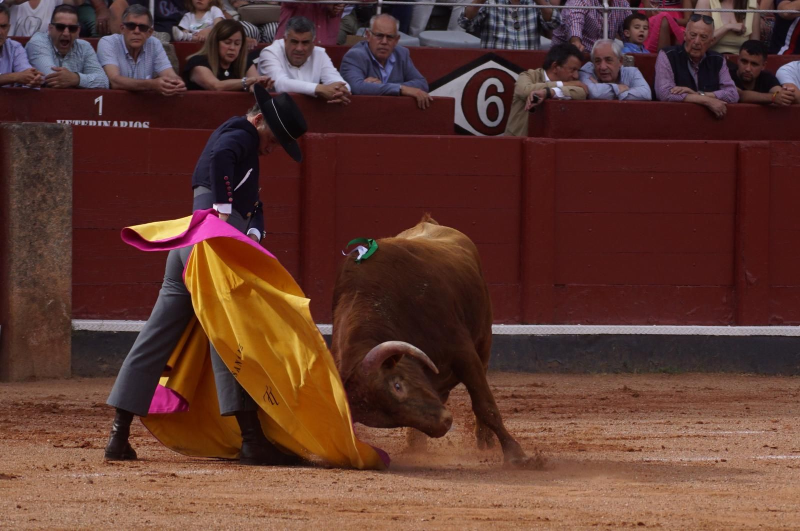 whatsapp-image-2025-06-12-at-21-26-01-5