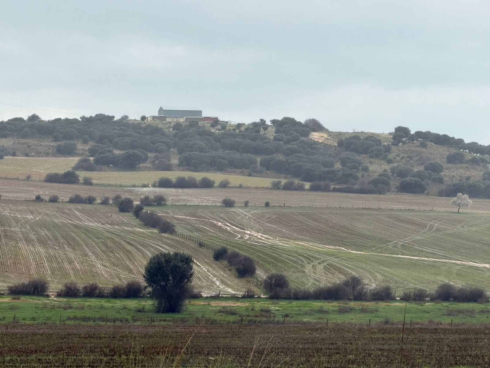 Granizo en Mozárbaz